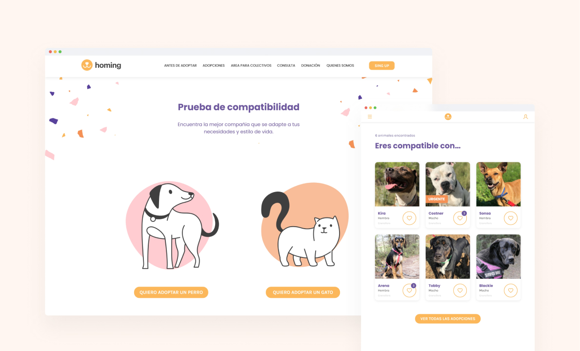 portfolio
